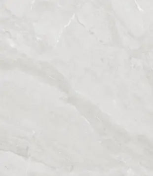 SPEC WHITE 60x60 cm Polished Porcelain Tiles