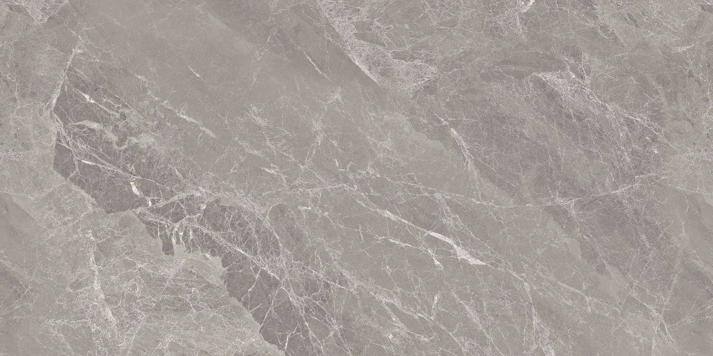 Spec Gris 30x60 cm Polished Porcelain Tiles