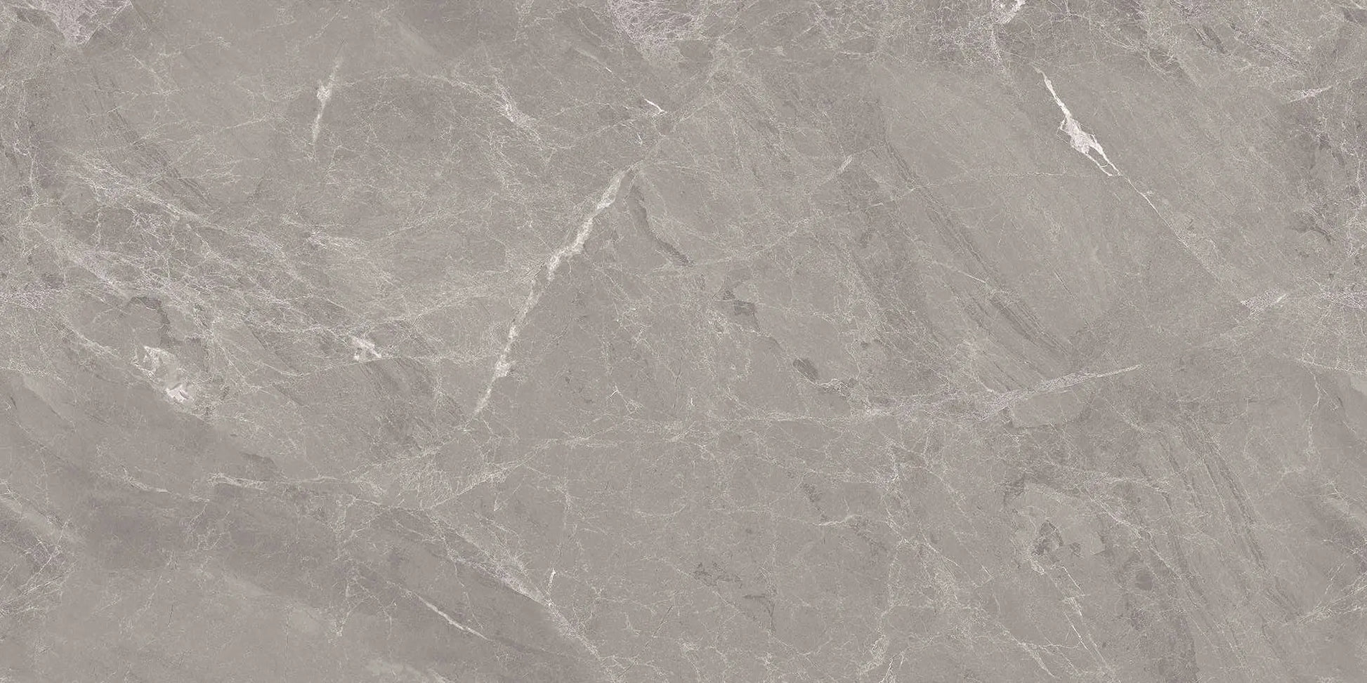 Spec Gris 30x60 cm Polished Porcelain Tiles